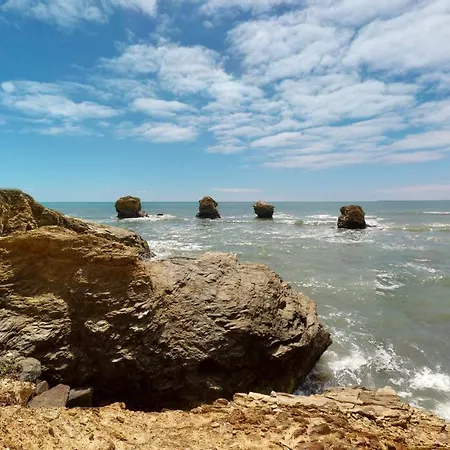 Face Au Port De Gilles Croix De Vie *